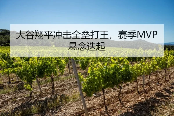 大谷翔平冲击全垒打王，赛季MVP悬念迭起