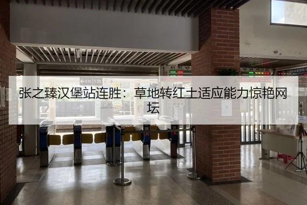 张之臻汉堡站连胜：草地转红土适应能力惊艳网坛