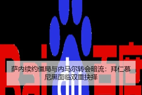 sa-nei-xu-yue-jiang-ju-yu-nei-ma-er-zhuan-hui-an-liu-bai-ren-mu-ni-hei-mian-lin-shuang-chong-jue-ze-3-624.jpg