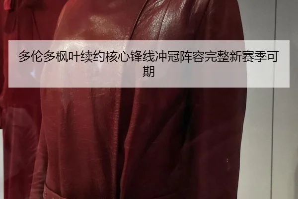 多伦多枫叶续约核心锋线冲冠阵容完整新赛季可期