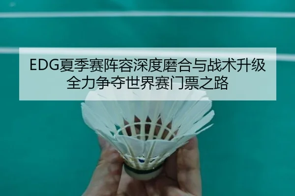 EDG夏季赛阵容深度磨合与战术升级全力争夺世界赛门票之路