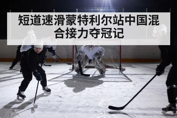 ice hockey arena action
